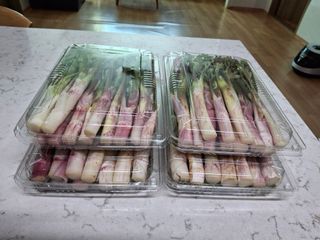 변귀재님의 자유주제 · 자유게시판 작성글 사진