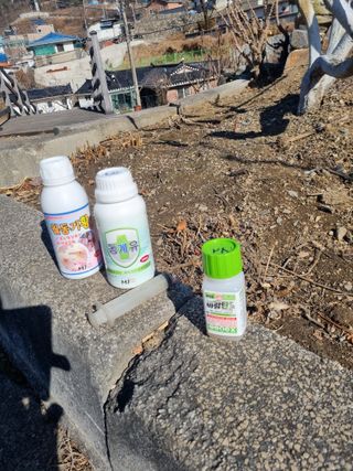 김용대님의 자유주제 · 자유게시판 작성글 사진