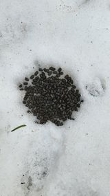 팜모닝 자유주제·자유게시판 게시글 이미지