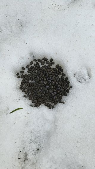 안계님의 자유주제 · 자유게시판 작성글 사진