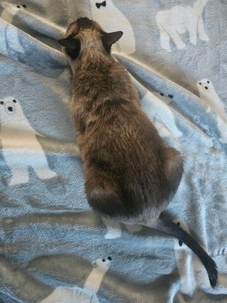 백용기님의 자유주제 · 자유게시판 작성글 사진