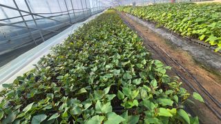 김동수님의 자유주제 · 자유게시판 작성글 사진