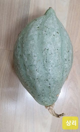 김중언님의 자유주제 · 자유게시판 작성글 사진