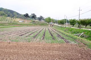 공주언니님의 자유주제 · 자유게시판 작성글 사진