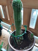 팜모닝 자유주제·자유게시판 게시글 이미지