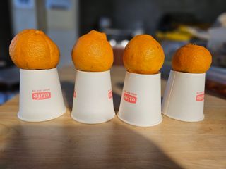 새달귤농장님의 작성글 사진