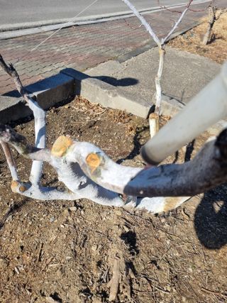 김용대님의 자유주제 · 자유게시판 작성글 사진