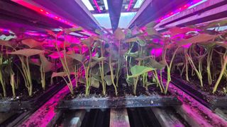 김동수님의 자유주제 · 자유게시판 작성글 사진