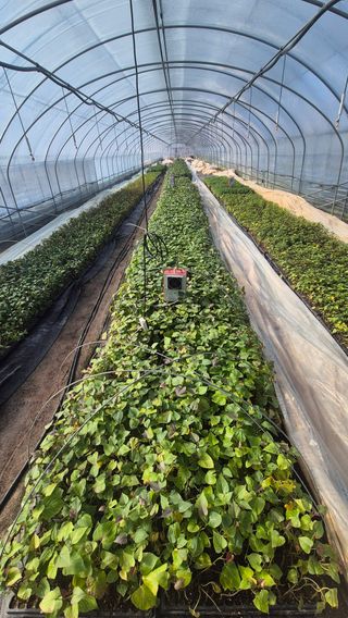 김동수님의 자유주제 · 자유게시판 작성글 사진