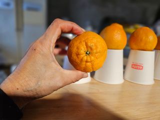 새달귤농장님의 작성글 사진