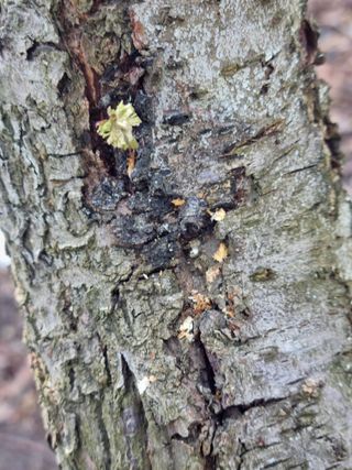 김용대님의 자유주제 · 자유게시판 작성글 사진