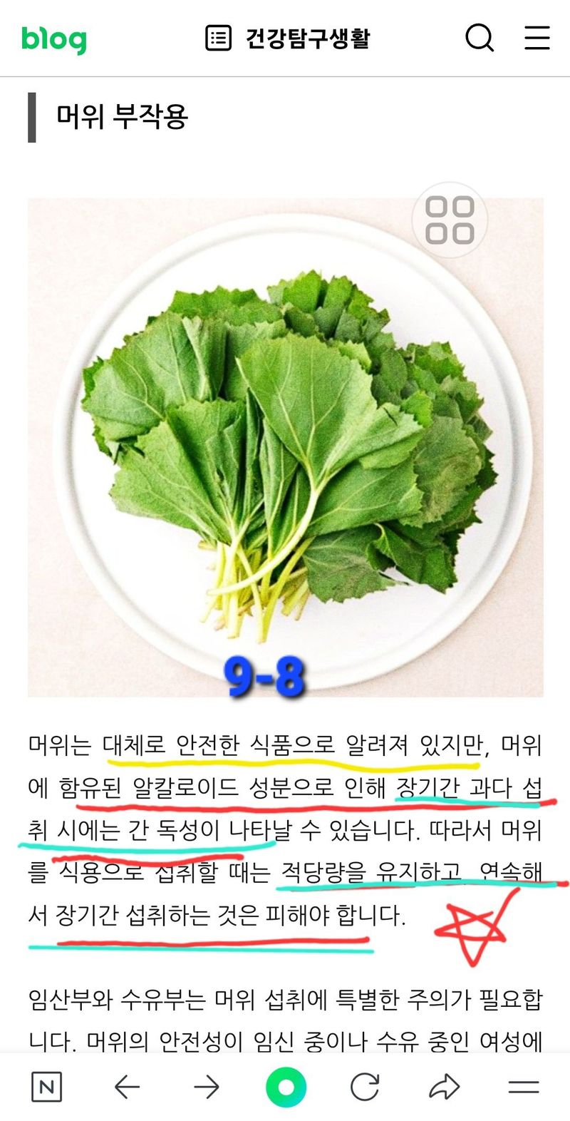 야생백년머위어성초님의 장터 판매 상품 [[머위뿌리 종근] 100년이상 자생 완전 무농약  다음날 도착 1Kg  ] 첨부 사진