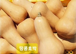 김중언님의 자유주제 · 자유게시판 작성글 사진