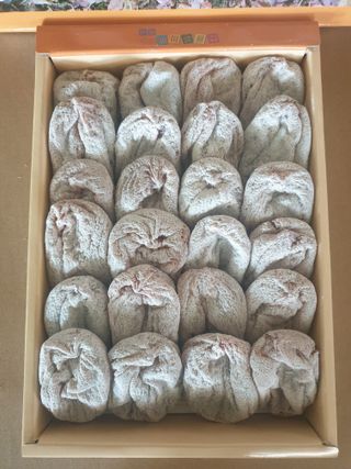 세미골곶감님의 자유주제 · 자유게시판 작성글 사진