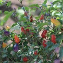 최한기님의 자유주제 · 자유게시판 작성글 사진