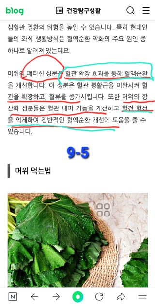 야생백년머위어성초님의 작성글 사진