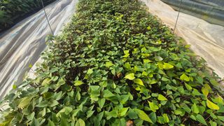 김동수님의 자유주제 · 자유게시판 작성글 사진