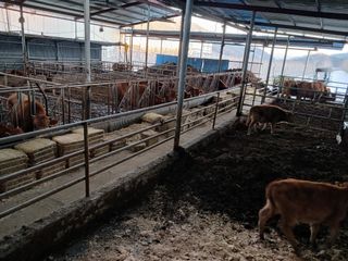 알 수 없음님의 자유주제 · 자유게시판 작성글 사진