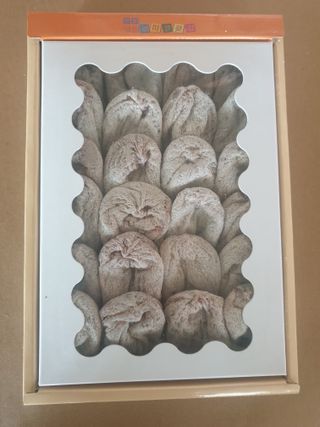 세미골곶감님의 자유주제 · 자유게시판 작성글 사진