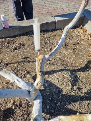 김용대님의 자유주제 · 자유게시판 작성글 사진