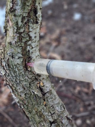 김용대님의 자유주제 · 자유게시판 작성글 사진