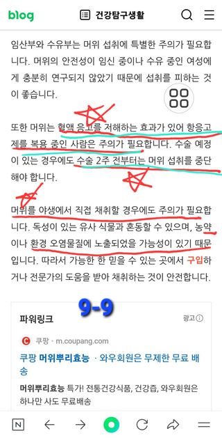 야생백년머위어성초님의 작성글 사진
