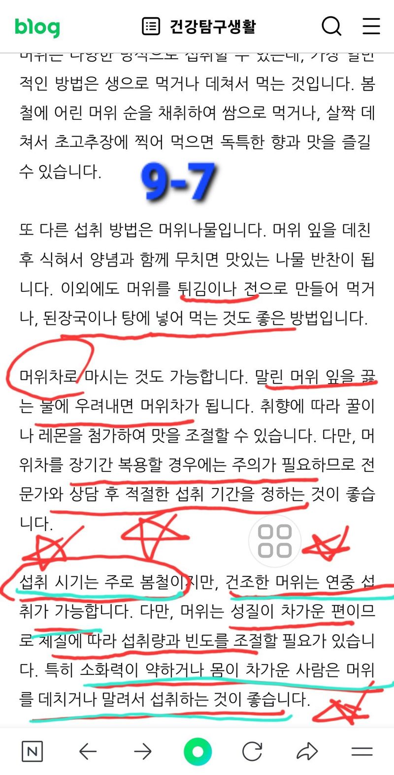야생백년머위어성초님의 장터 판매 상품 [[머위뿌리 종근] 100년이상 자생 완전 무농약  다음날 도착 1Kg  ] 첨부 사진