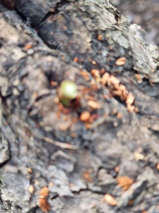 김용대님의 자유주제 · 자유게시판 작성글 사진