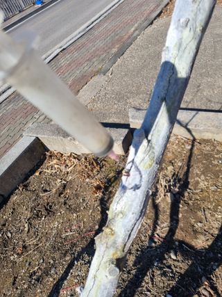 김용대님의 자유주제 · 자유게시판 작성글 사진