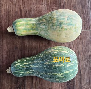 김중언님의 자유주제 · 자유게시판 작성글 사진