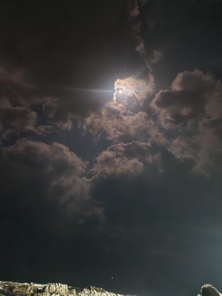 김영숙님의 자유주제 · 사진전 작성글 사진