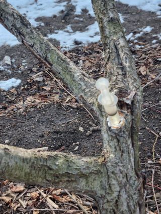 김용대님의 자유주제 · 자유게시판 작성글 사진