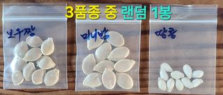 김중언님의 자유주제 · 자유게시판 작성글 사진