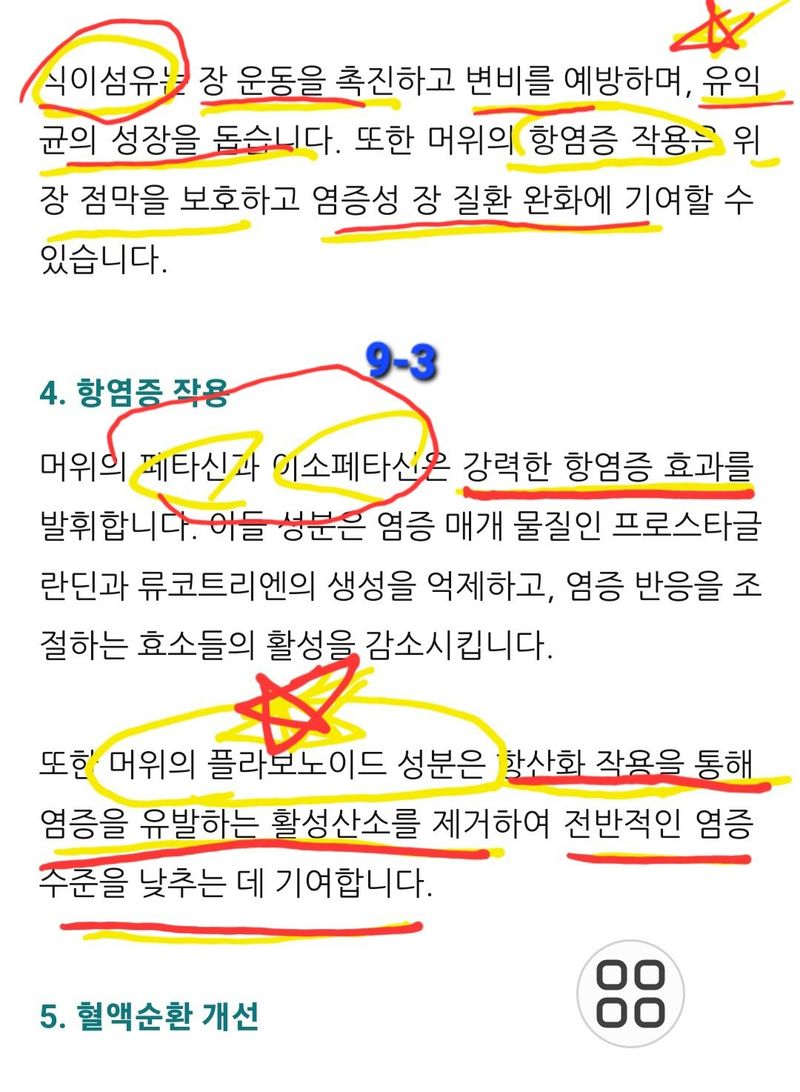 야생백년머위어성초님의 장터 판매 상품 [[머위뿌리 종근] 100년이상 자생 완전 무농약  다음날 도착 1Kg  ] 첨부 사진