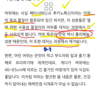 야생백년머위어성초님의 작성글 사진