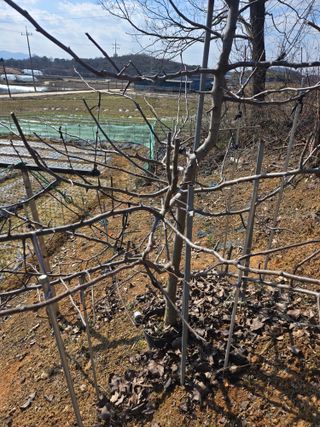 자연인님의 자유주제 · 자유게시판 작성글 사진