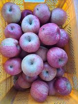 팜모닝 · 게시글 이미지