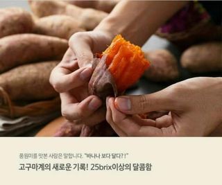 안수복님의 자유주제 · 자유게시판 작성글 사진