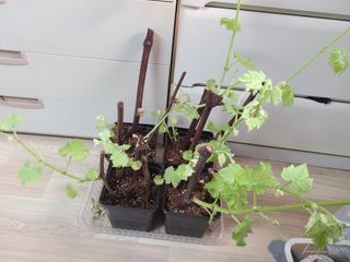 남봉희님의 자유주제 · 자유게시판 작성글 사진