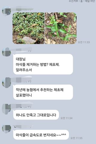 대산농사대장님의 자유주제 · 자유게시판 작성글 사진
