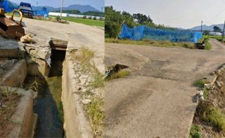 이순화님의 자유주제 · 자유게시판 작성글 사진