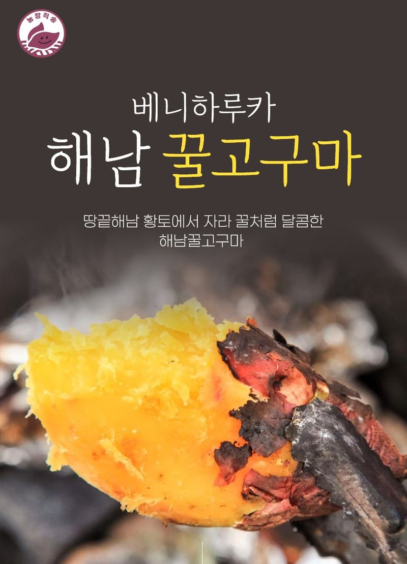 스피드번님의 장터 판매 상품 [(비세척) 베니하루카 해남 꿀 고구마] 첨부 사진