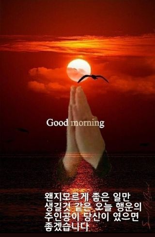 백용기님의 자유주제 · 자유게시판 작성글 사진