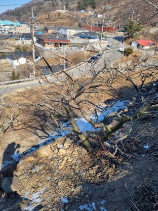 김용대님의 자유주제 · 자유게시판 작성글 사진