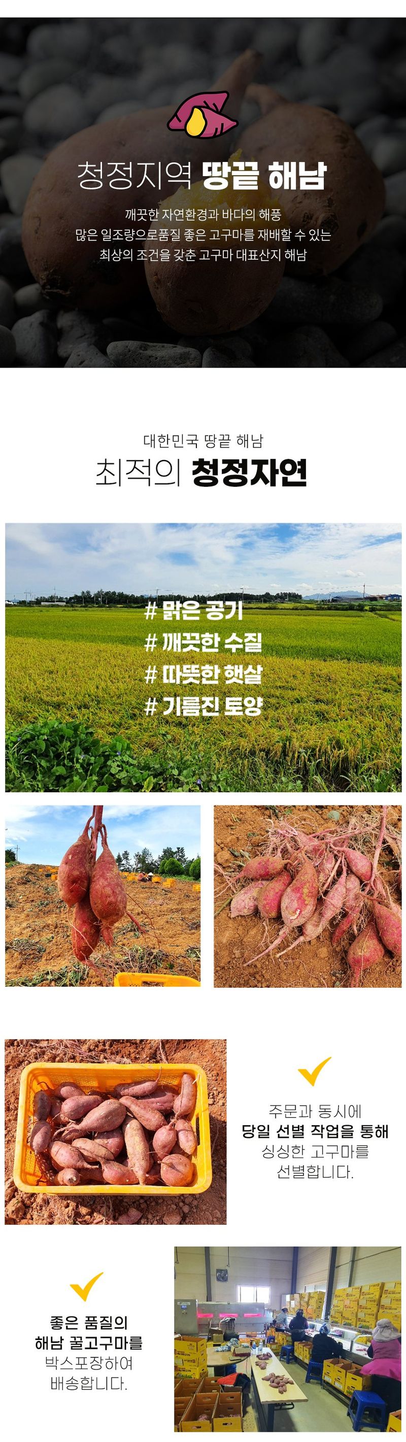 스피드번님의 장터 판매 상품 [(비세척) 베니하루카 해남 꿀 고구마] 첨부 사진