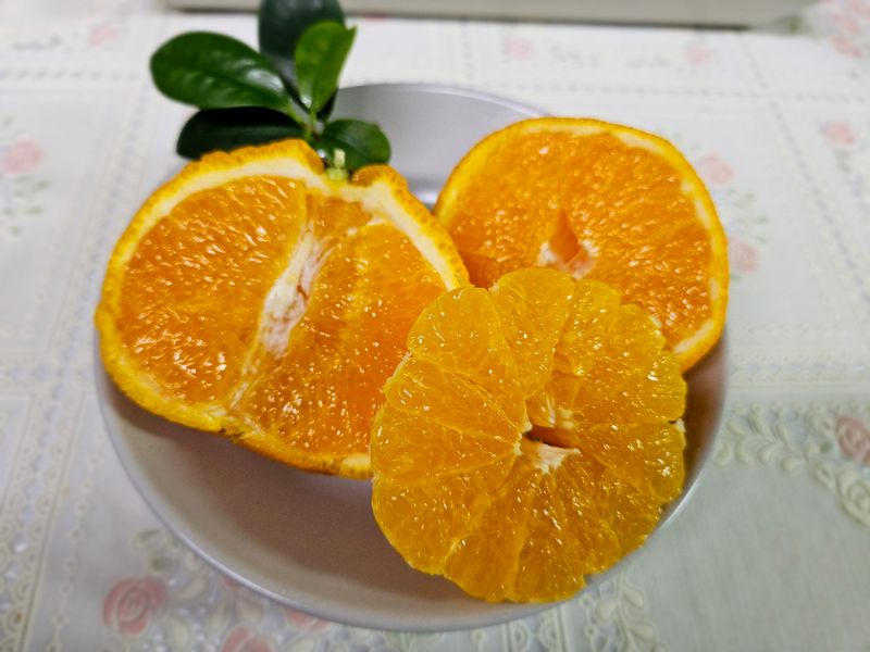 새달귤농장님의 장터 판매 상품 [(깜짝할인)얼마 안남았어요꼬마노지한라봉 5키로] 첨부 사진