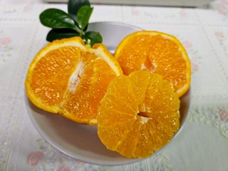 새달귤농장님의 작성글 사진