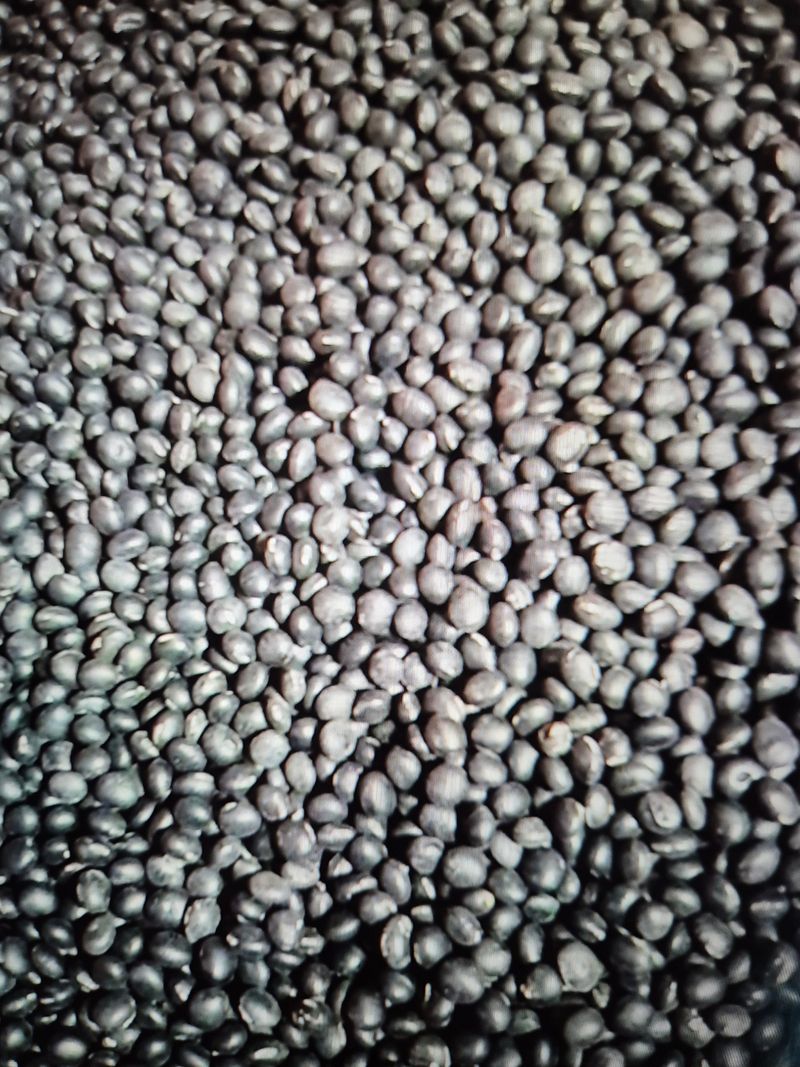 장터 상품 [24년 속청 서리태 1kg] 썸네일