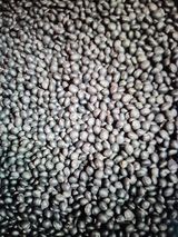 팜모닝 · 게시글 이미지