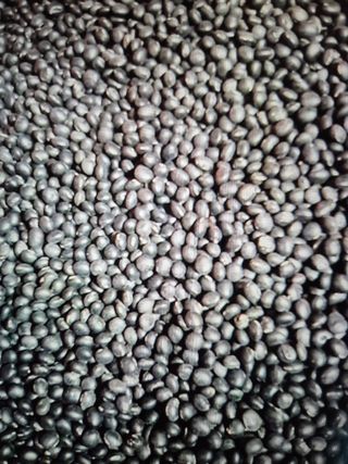 김선희님의 작성글 사진